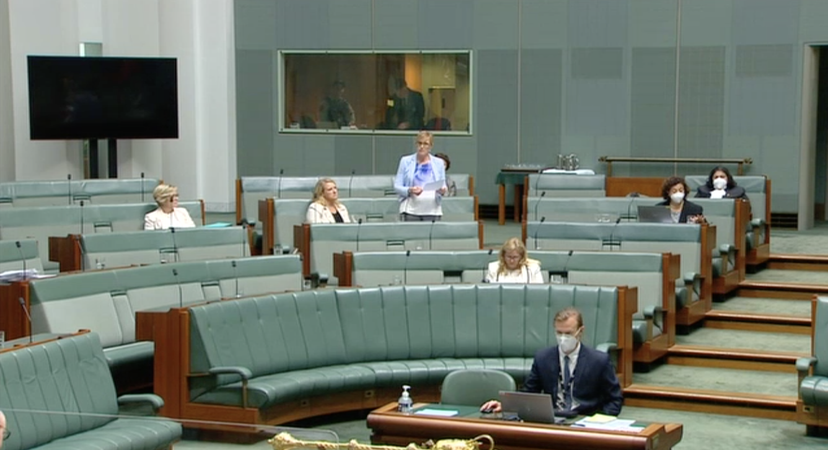 Independent MP Zoe Daniel speaking of her Eating Disorder Lived Experience to the House of Representatives