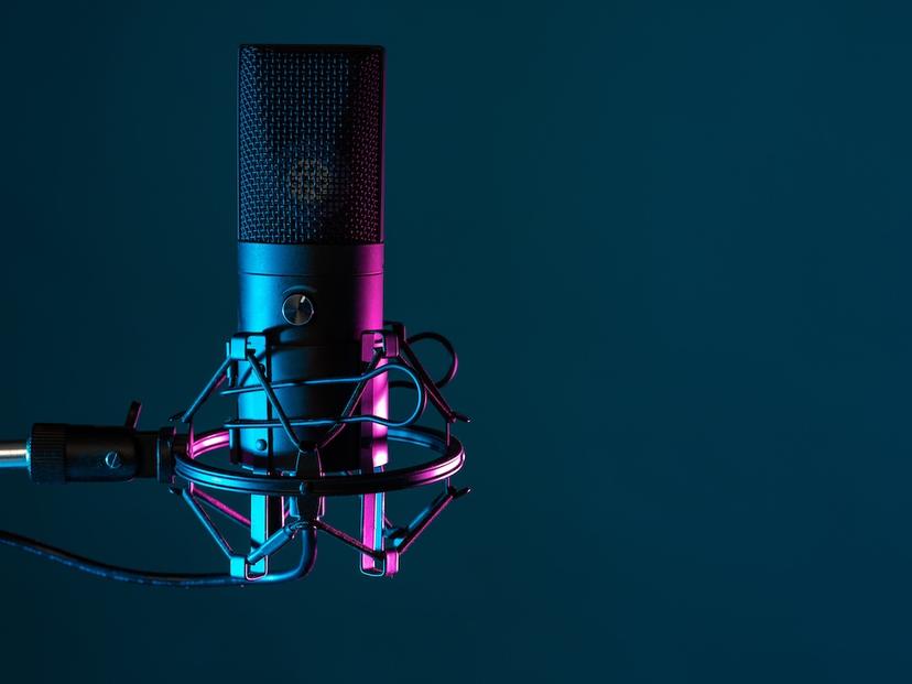 A photo of a studio microphone