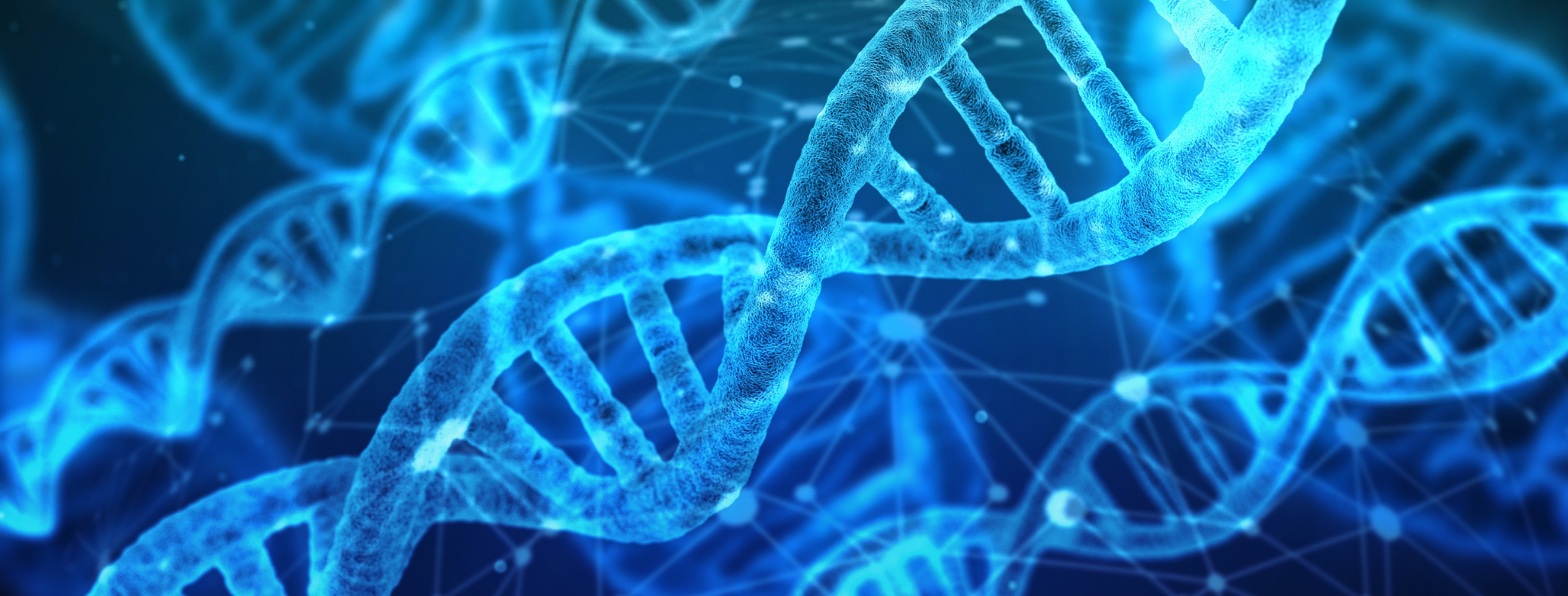 A photo of DNA